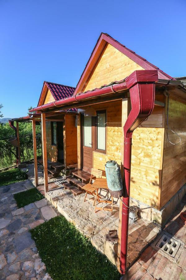 Bukhriani Villa Kutaisi Exterior foto