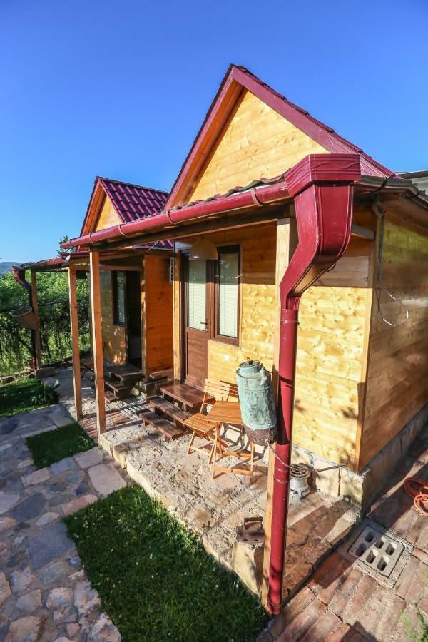 Bukhriani Villa Kutaisi Exterior foto